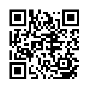 Steel-denmark.com QR code