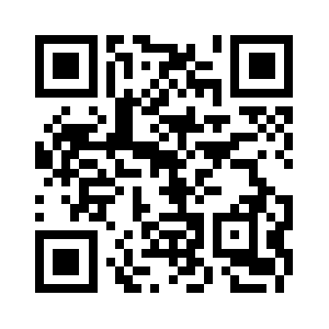 Steelcitydata.com QR code