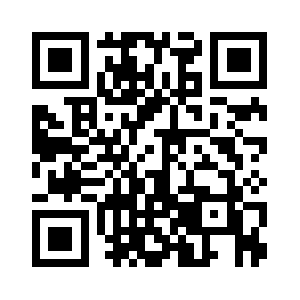 Steinengineers.com QR code