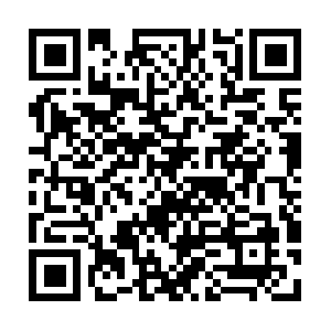 Steinhatcheelandingresortevents.com QR code