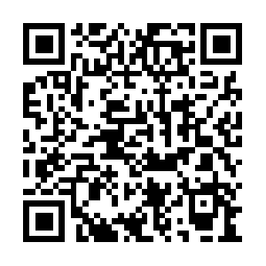 Stemcellinstituteofnorthernillinois.com QR code