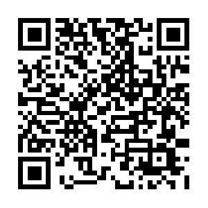 Stephensoncoemergencymanagement.org QR code