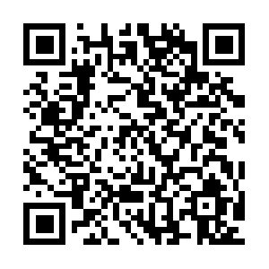 Stephenwynn-resort-hotel-casino.biz QR code