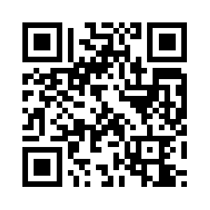 Stereovalve.com QR code