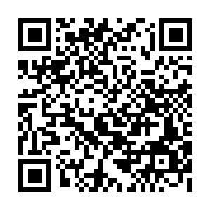 Stonescapesustainablelandscapes.com QR code