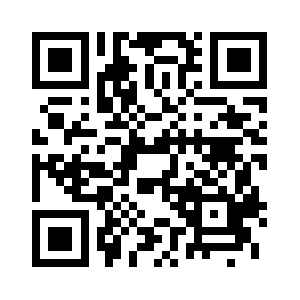 Storeginirig.com QR code