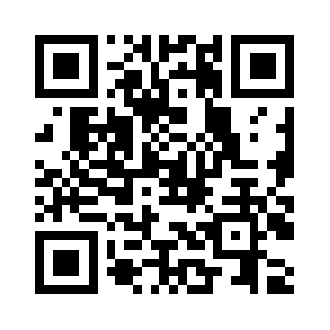 Storeneedy.info QR code