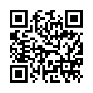 Storenetbizboom.com QR code