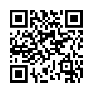 Stormbreakerpcs.com QR code