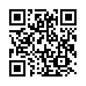 Stormtaxtil.com QR code