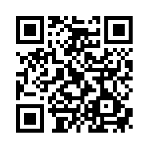 Stormyservice.com QR code