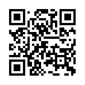 Strategy4leaders.com QR code