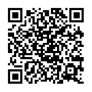 Streamsclerourifetasselcoincident.net QR code