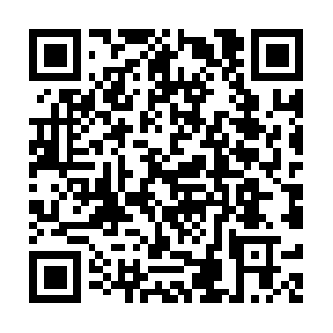 Student-first-educational-consultant.biz QR code