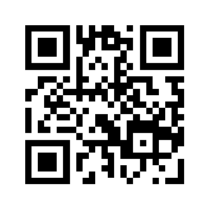 Stupidx.com QR code