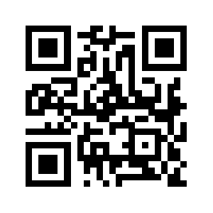 Stylefor.biz QR code