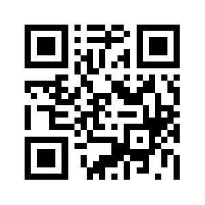 Styles-usa.com QR code