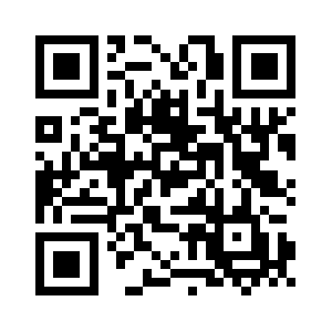 Stylesnfiles.com QR code