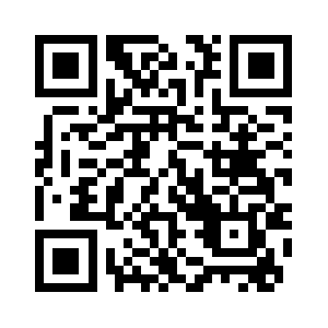 Stylesolutions.org QR code