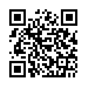 Successnetplusnet.com QR code