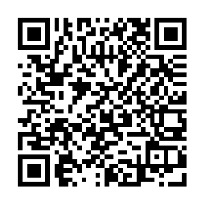 Sueymbhuherbalandayurvedicproducts.com QR code