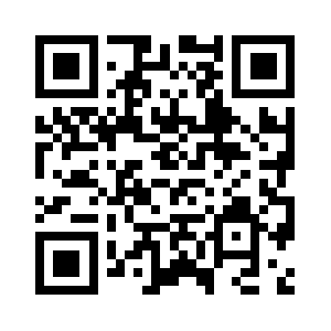 Super-bowl-xlix.com QR code