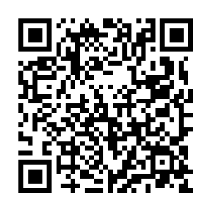 Super-factstoenjoyrollingforward.info QR code