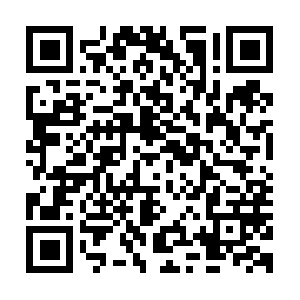 Super-insight-to-carry-moving-forth.info QR code