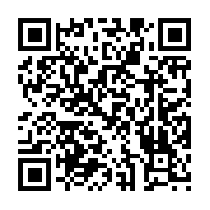 Super-insight-to-enjoy-moving-forth.info QR code