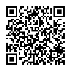 Super-wisdomtopossessgoing-ahead.info QR code