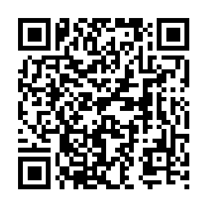 Superwisdomtostoredrivingforward.info QR code