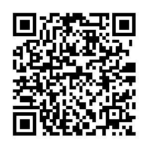 Support-information-systembusiness.com QR code