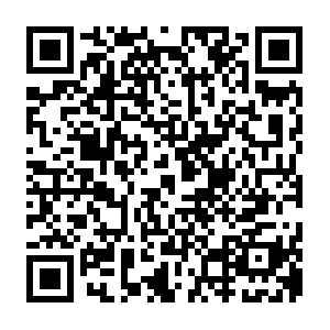 Support0.like.video.getcacheddhcpresultsforcurrentconfig QR code