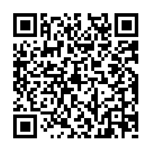 Supportstvincentmobilemammogram.com QR code