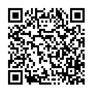 Supremedispatchandtruckingservices.com QR code