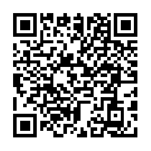 Supremevehicleservicecentertoluca.us QR code