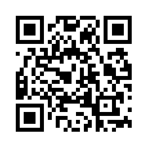 Surface-outlets.info QR code