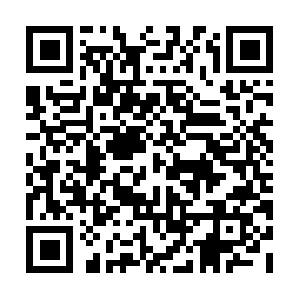 Surrogacyinternationalconcierge.com QR code