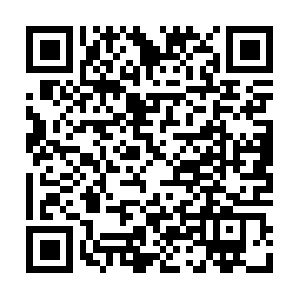 Survivalistbugoutbagnonsportscards.ca QR code