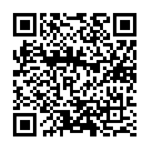 Sv-new-1895637278.us-east-1.elb.amazonaws.com QR code