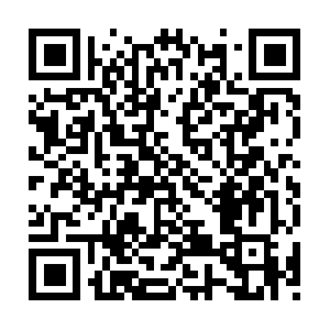 Sweetgrassminiatureamericanshepherds.com QR code