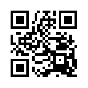 Syntezbruk.com QR code