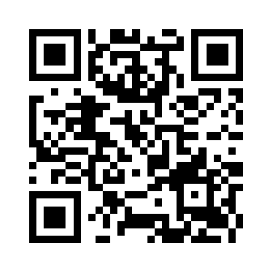 Systemtroubleshooter.com QR code