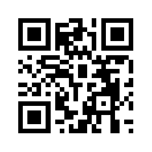 T.overflow.biz QR code