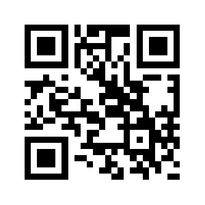 T2team.info QR code