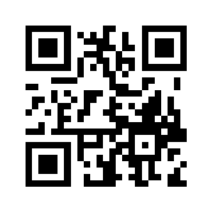 T9sj.com QR code