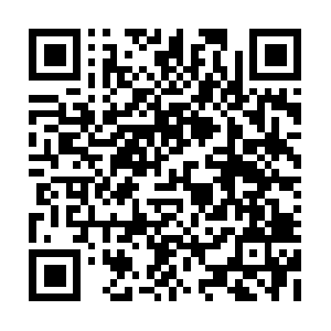 Taiyangchengfeilvbinguanfangwang66.net QR code