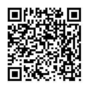 Tallerdeservicioelectricoautomotriz.com QR code