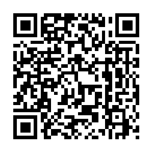 Tamborinemountainspringwatertransport.com QR code