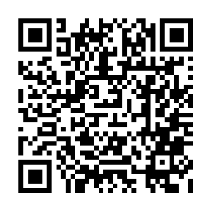 Tangerine-seabass-nnzf.squarespace.com QR code